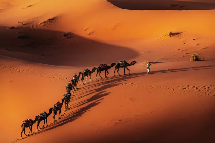 Alexandrov, Alexander: The Camel Train