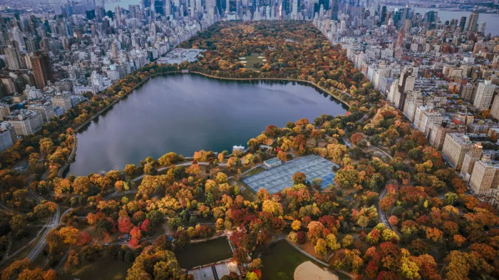 Dai, (David) Wei: Urban Autumn