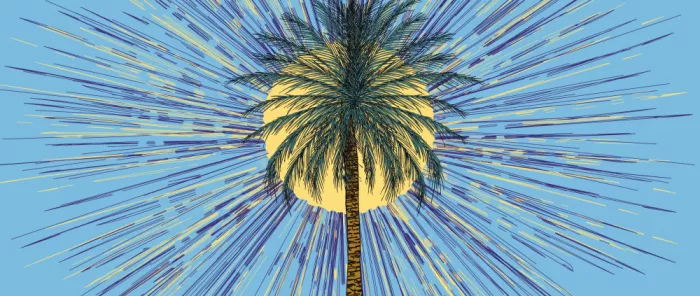 Nicholas: Palms