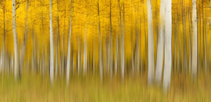 Xu, Mei: Autumn Dream