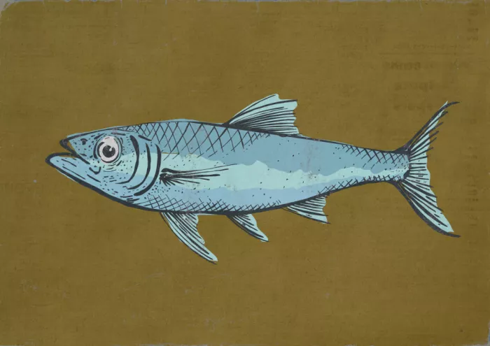 Nicholas: Fish
