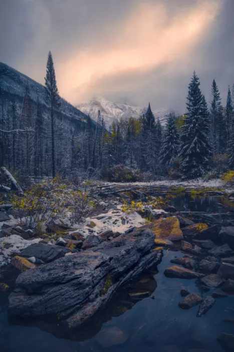 Zhao, Alex: Early winter