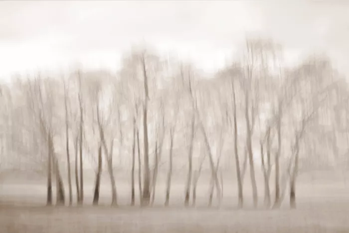 Sillen, Christina: Neblina invernal