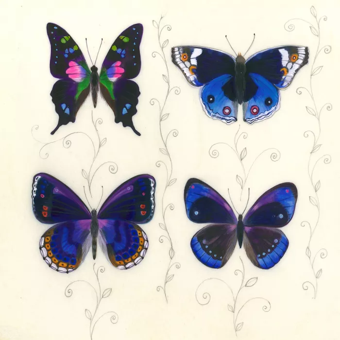 Brent, Isabelle: Papillons sombres