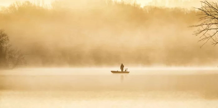meix: A golden morning