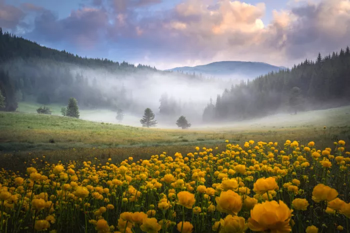 Alexandrov, Alexander: Rila mountain in June