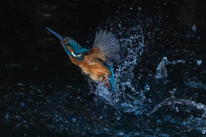 Suzuki, Takashi: Blue water spray