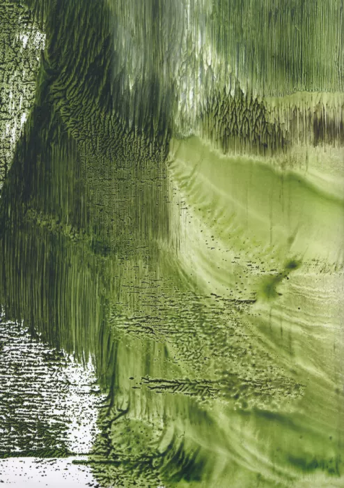 Ribena, Maira: Green Abstract Forest
