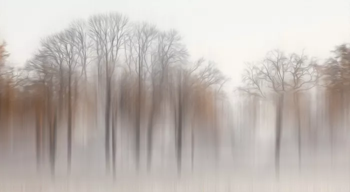 Lee, van Hilda: Winter trees