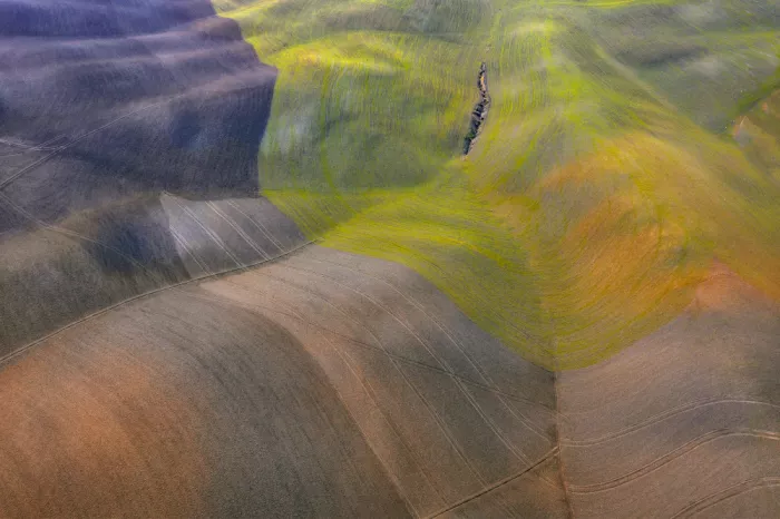 Kravanja, Jure: Tuscany