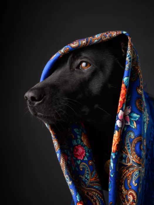 Anton, Rostovskiy: Fashion