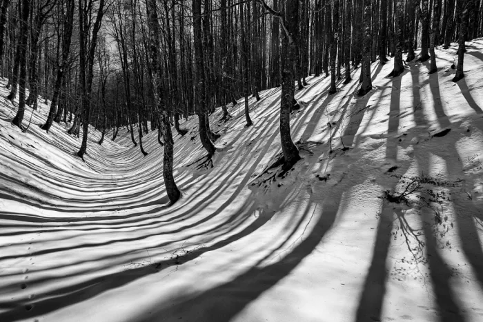 Borsan, Valentin: Geometry of Time