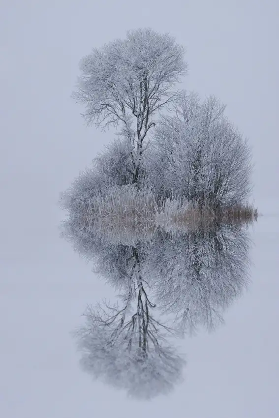 Maier, Norbert: winter stillness