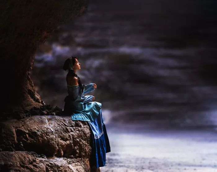 Zhang, Rae: Gazing Into the Distance