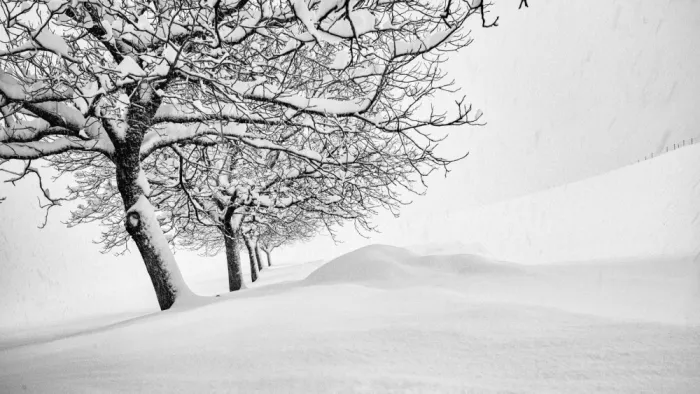 Jansen, Arne: The Quiet Passage