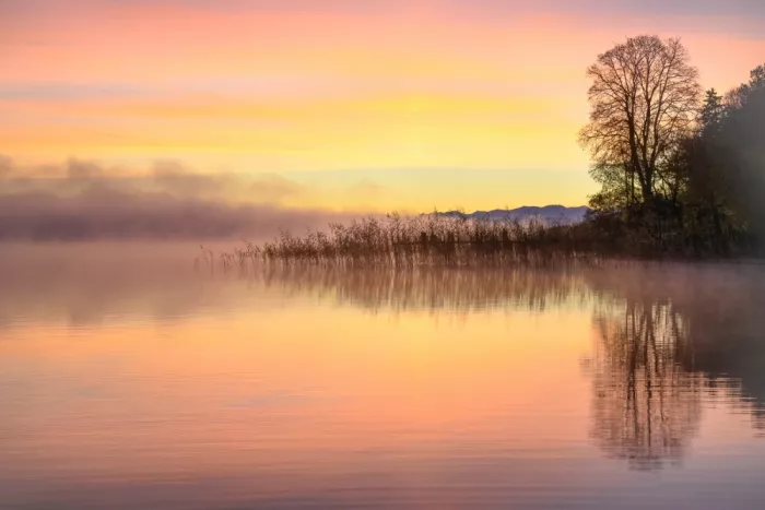 Eisenmann, Ulrike: Lakeside - lake Starnberg