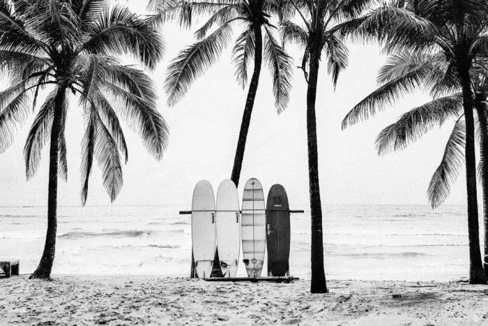 Pienaar, Kathrin: The Boards