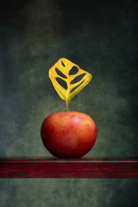 Barkow, Brig: Nature morte avec une pomme rouge et une feuille jaune