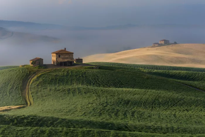 Kravanja, Jure: Tuscany