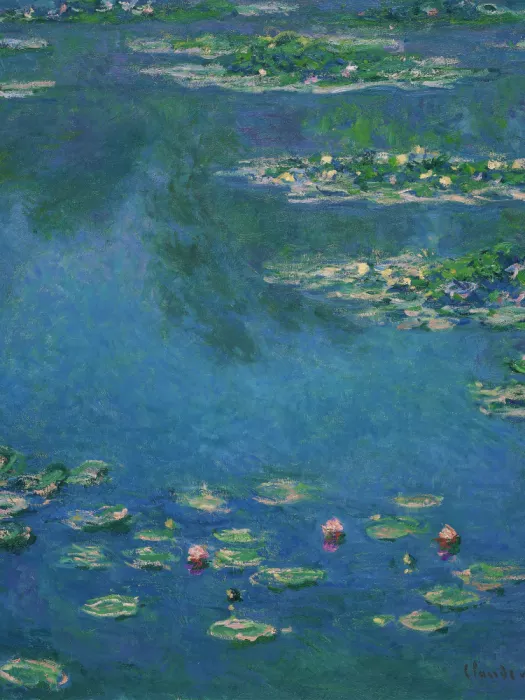 jeuf, Mathieu: Lily ponds