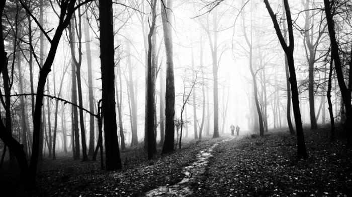 Oncete, Julien: November early morning