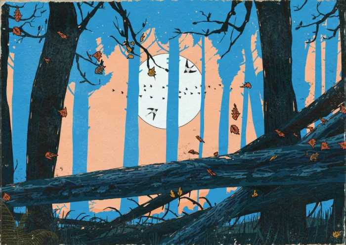 Nicholas: La forêt silencieuse au clair de lune