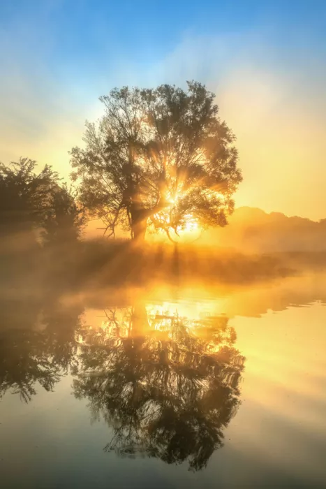 Keller: Island of Light