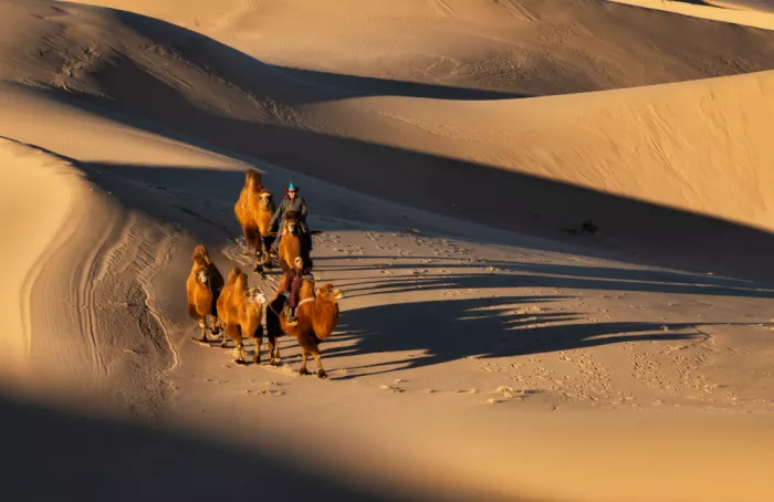 Figueras, Antoni: Ombres sur le Gobi