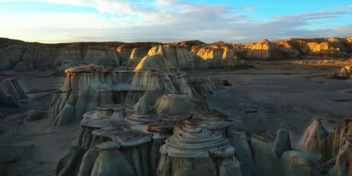 Fischer, Jie: Wilderness