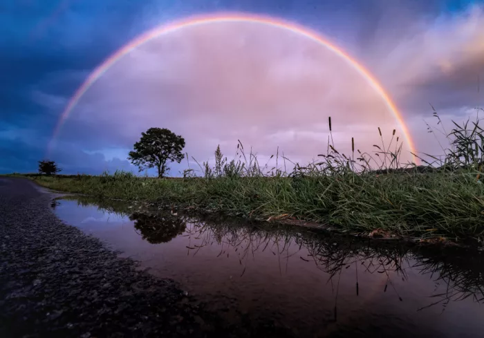 Lázare, Adrian: Rain day