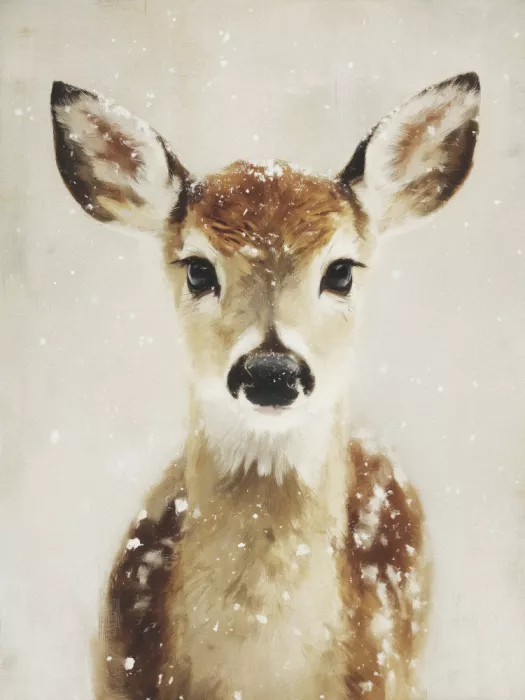 Magnusson, Andreas: Young Deer