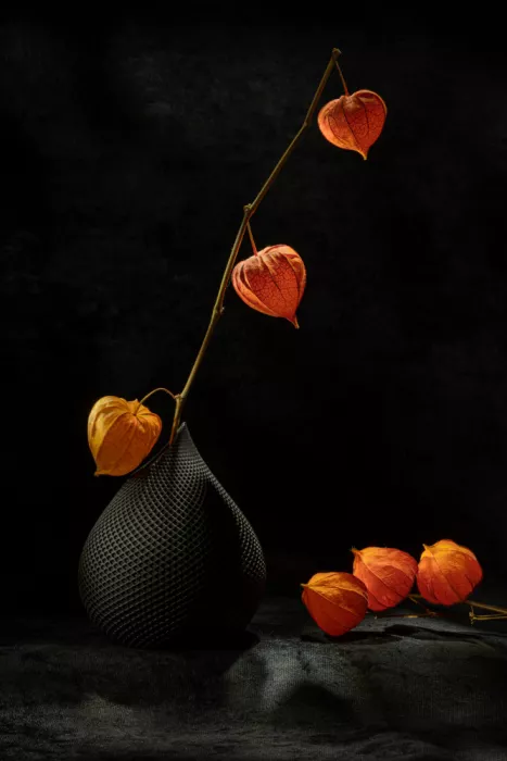 Kopcev, Igor: Stillleben mit Physalis