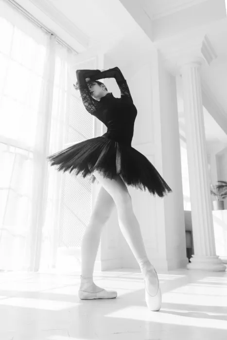 Alexandr: Série du cygne noir