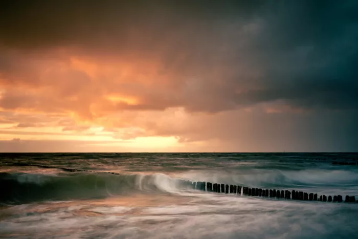 Eisenmann, Ulrike: wild baltic sea