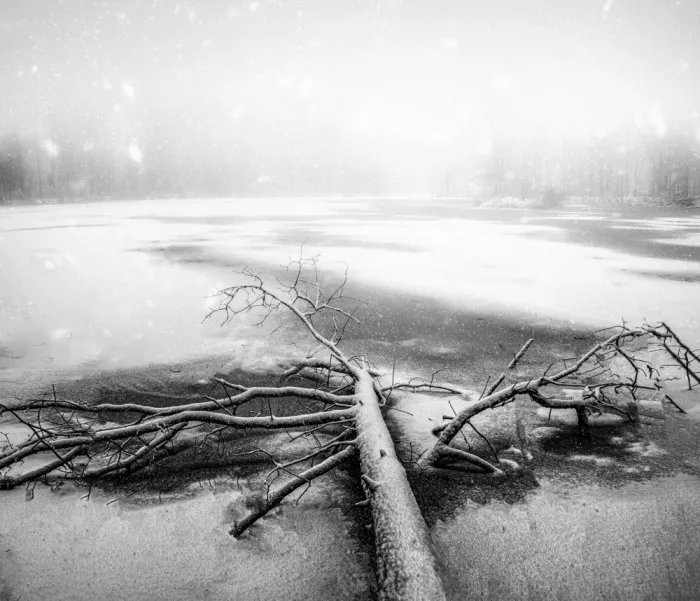 Zhong, John-Mei: Snowy lake
