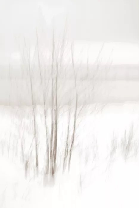 Sillen, Christina: Bianco invernale
