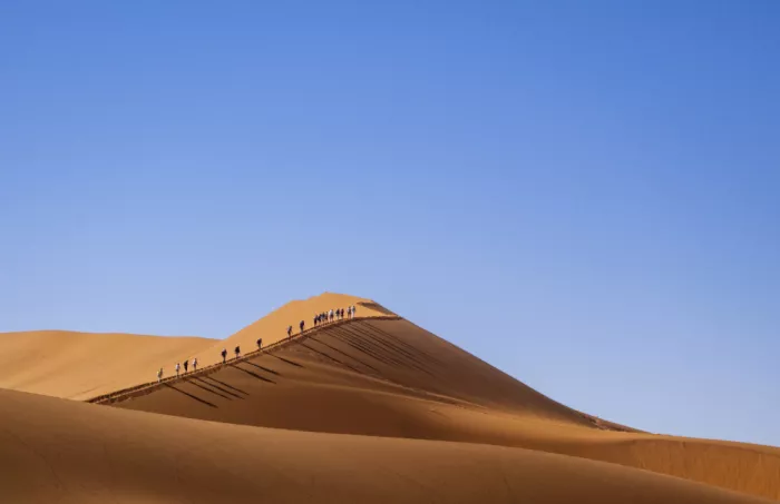 Abreu, Fernando: Climbing Sand Dunes