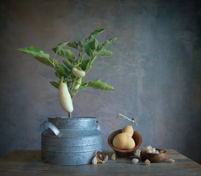 Zhou, Fangping: Rooted and Dried