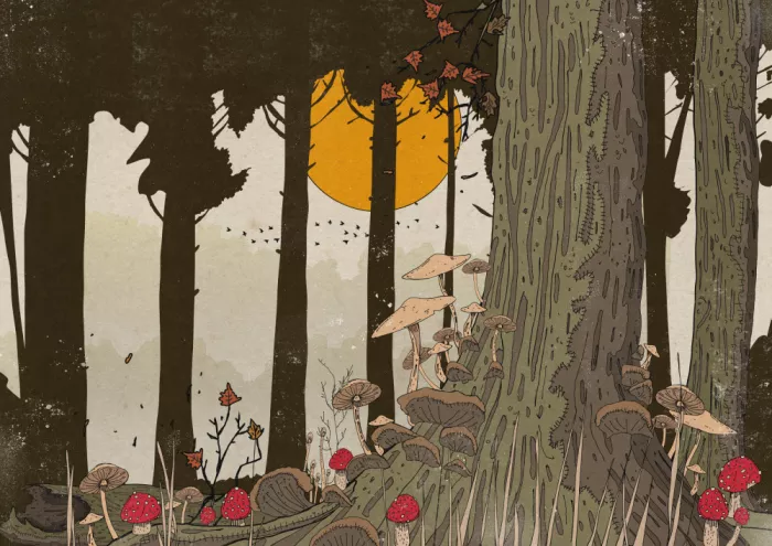 Nicholas: The Wild Forest At Dusk