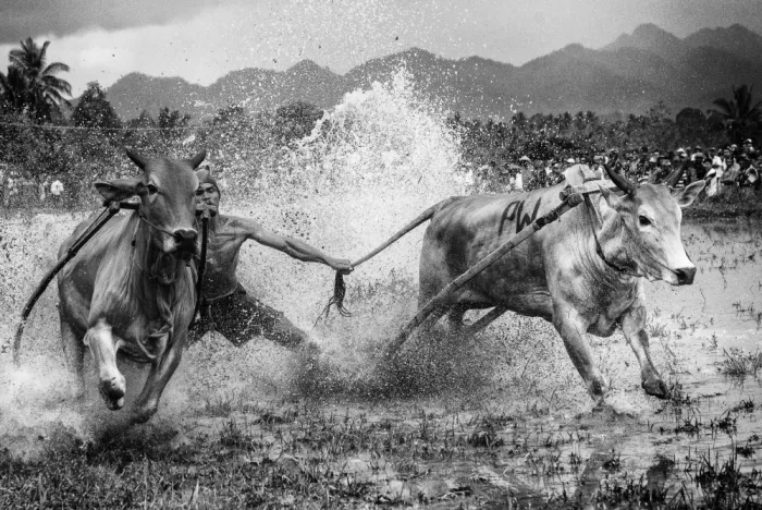 Kong, Yuk John: Bulls Racing