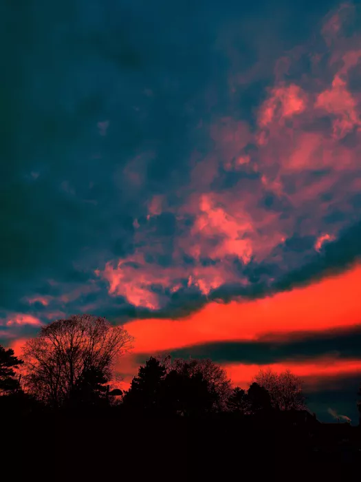 mnemonixART: Img 20251201 045423