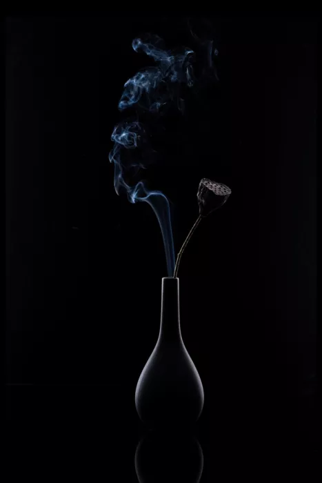 Ji, Shirley: Lotus Seed Pod & Smoke