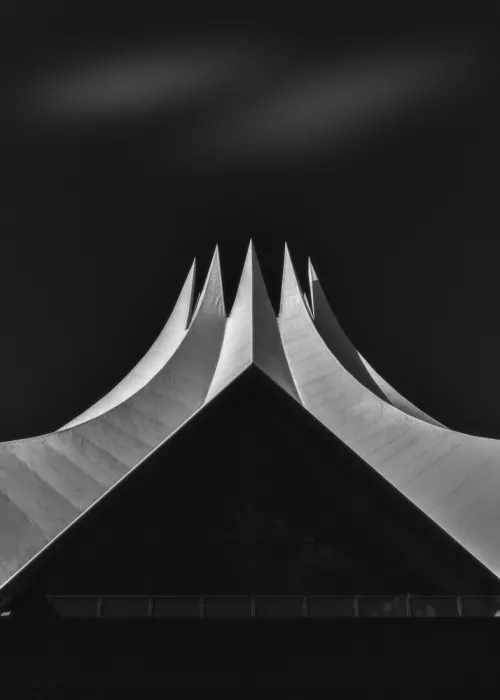 Franzoni, de Thomas: Monumental Cage