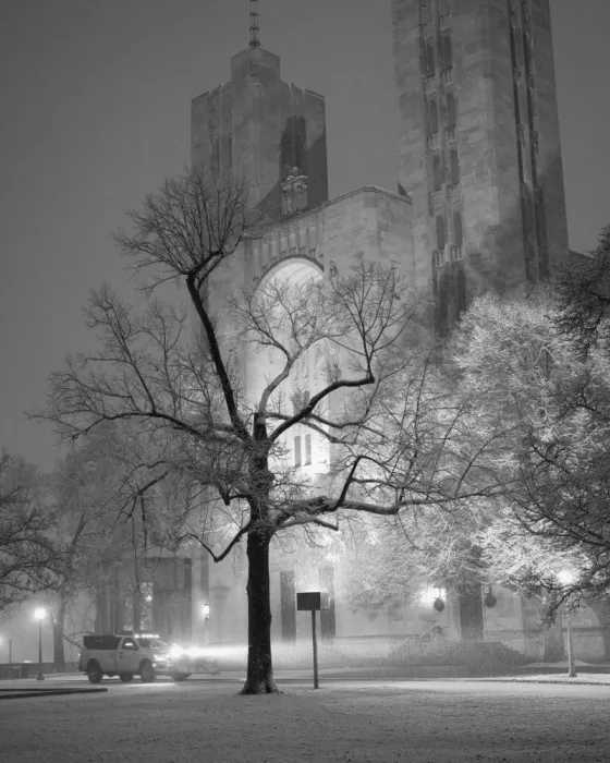 Pilla, J. Scott: Cathedral of Mary Our Queen in Snow