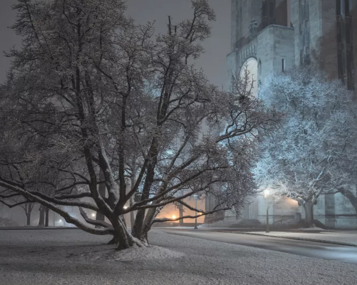 Pilla, J. Scott: Cathedral of Mary Our Queen