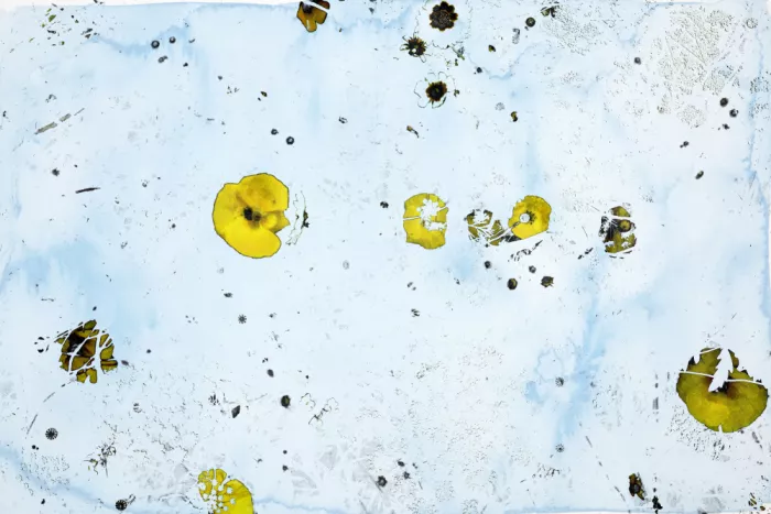 Stayte, Miriam: Poppy Garden, Yellow