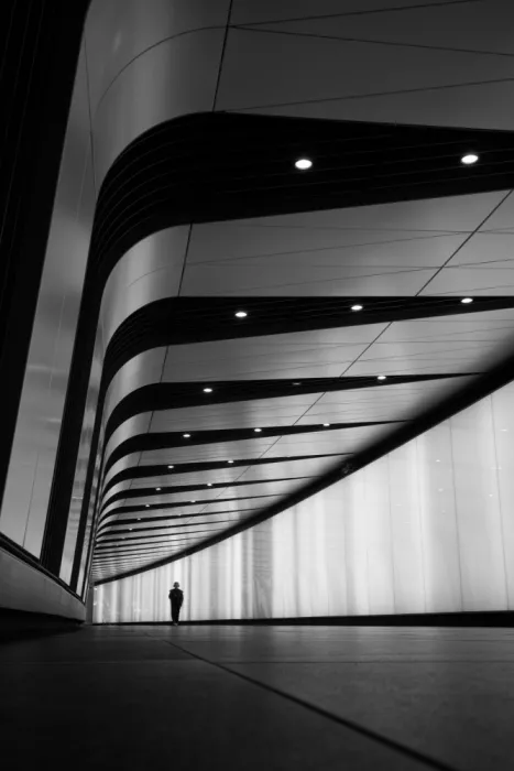 Rodgers, Ursula: Convergence