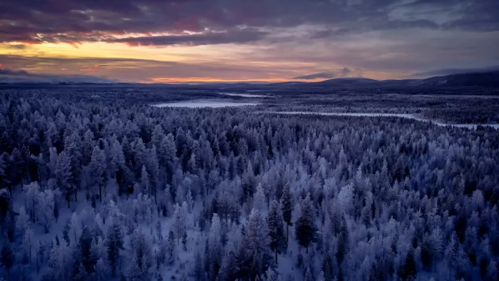 Kleimann, Stephanie: sunset of the North