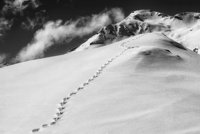 Hermann, Uschi: Weg im Schnee