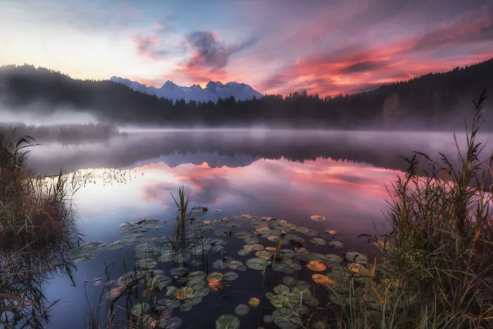Meier, Tom: Morning Solitude